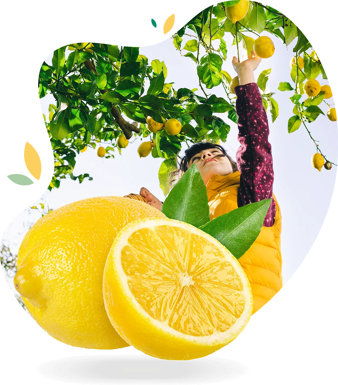 limones